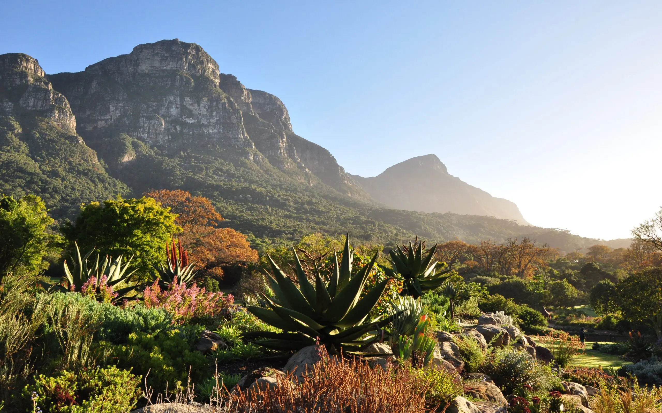 KIRSTENBOSCH